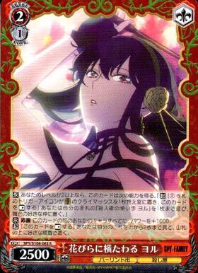 Yoru lying on a flower petal (SPY/S106-063)