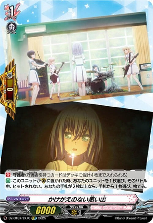 Irreplaceable memories (DZ-BT07/EX16)