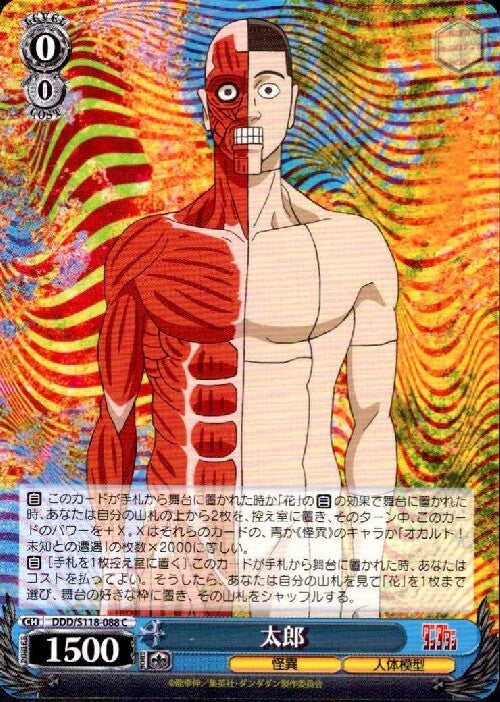 Taro (DDD/S118-088) C