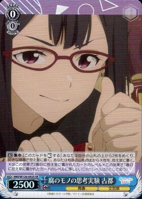 Thought Experiment of Fumono Koto (MKI/W126-092S)