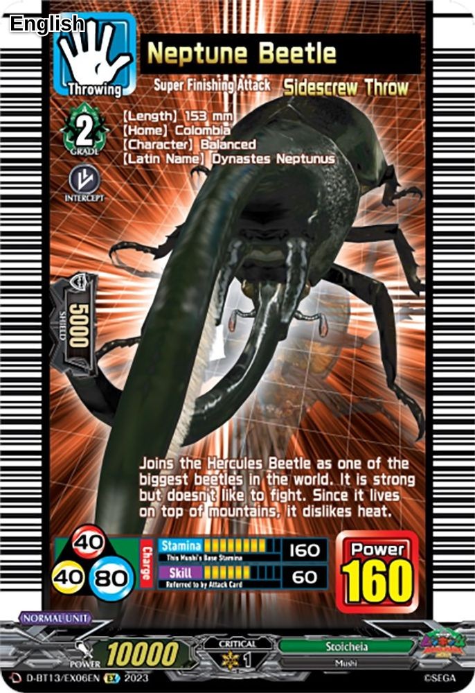 Neptune Beetle
