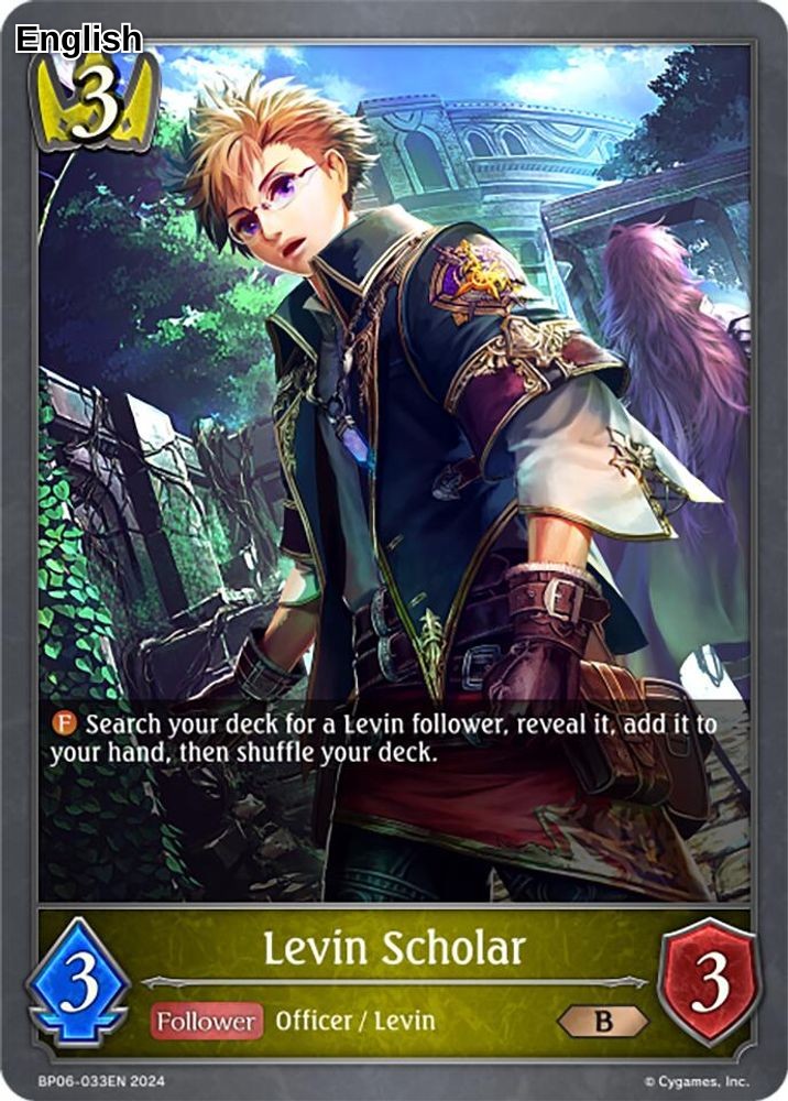 Levin Scholar
