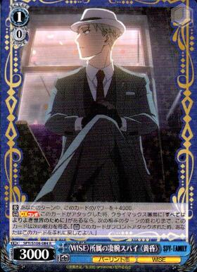 Twilight (SPY/S106-084), a highly skilled spy belonging to WISE.