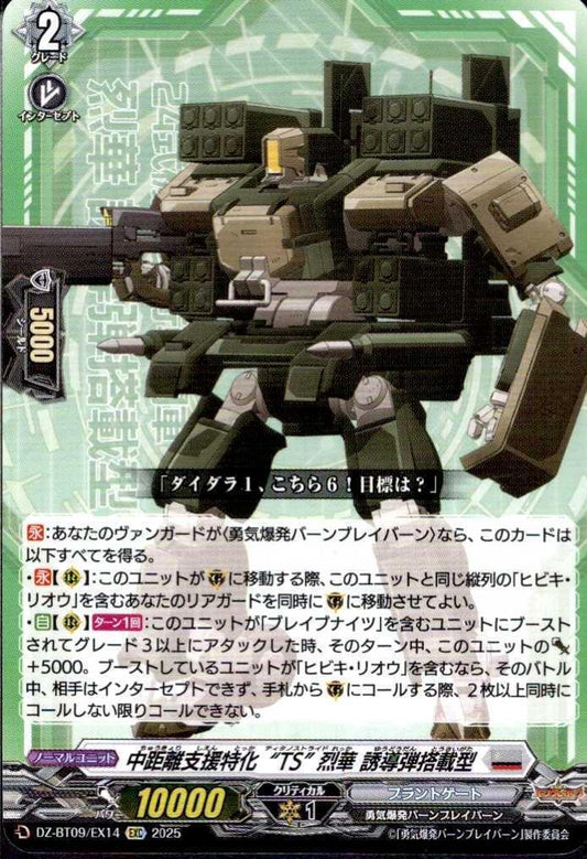 Mid-range support specialized "TS" Rekka guided missile equipped type (DZ-BT09/EX14)