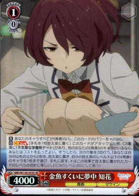 Enthusiastic about goldfish scooping: Chika (MKI/W126-053S)
