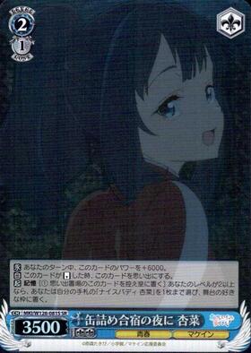 On the night of the canned food training camp Anna (MKI/W126-081S)