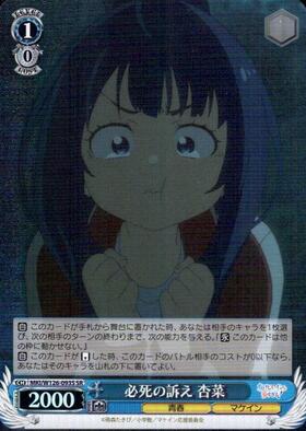 Desperate Appeal: Anna (MKI/W126-093S)