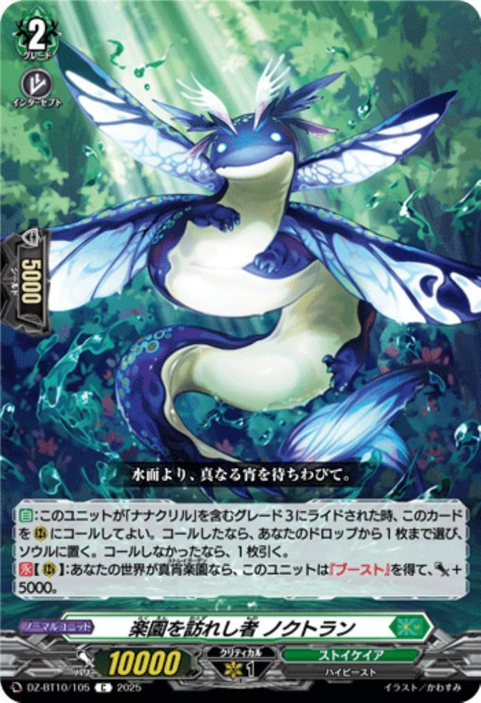 The Visitor to Paradise Nocturnal (C) (DZ-BT10/105)