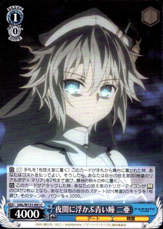 Blue eyes floating in the darkness of night: Nia (DAL/W131-091) C
