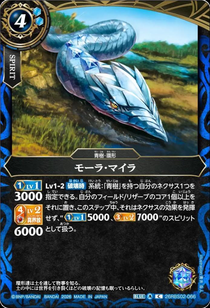 Maura Myra (26RBS02-066)