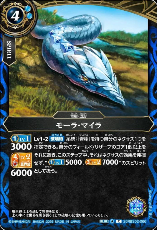 Maura Myra (26RBS02-066)