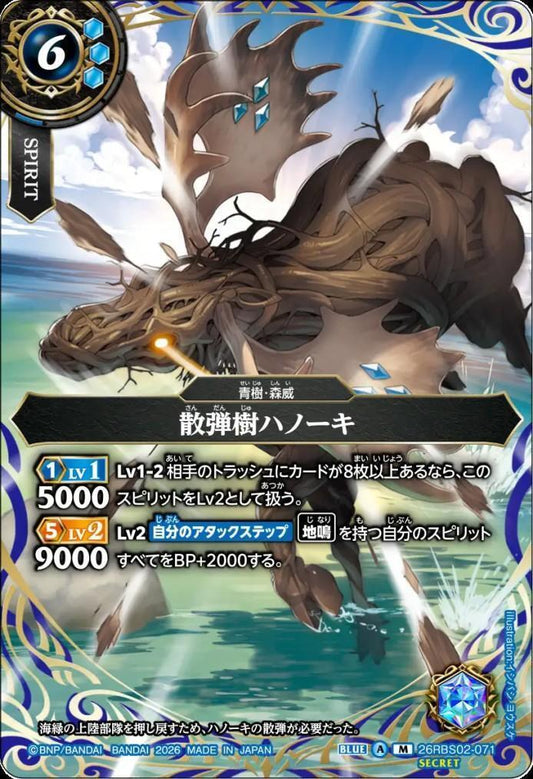 Shotgun tree Hanoki (26RBS02-071)
