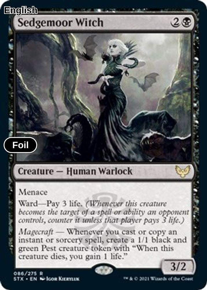 Sedgemoor Witch