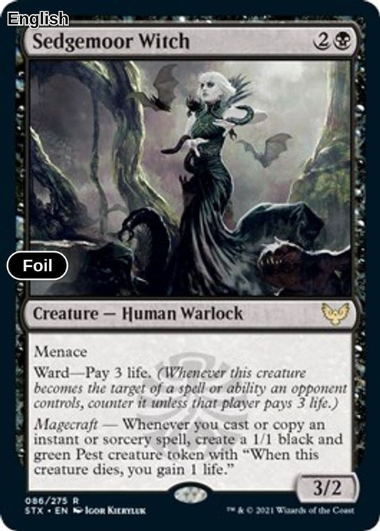 Sedgemoor Witch