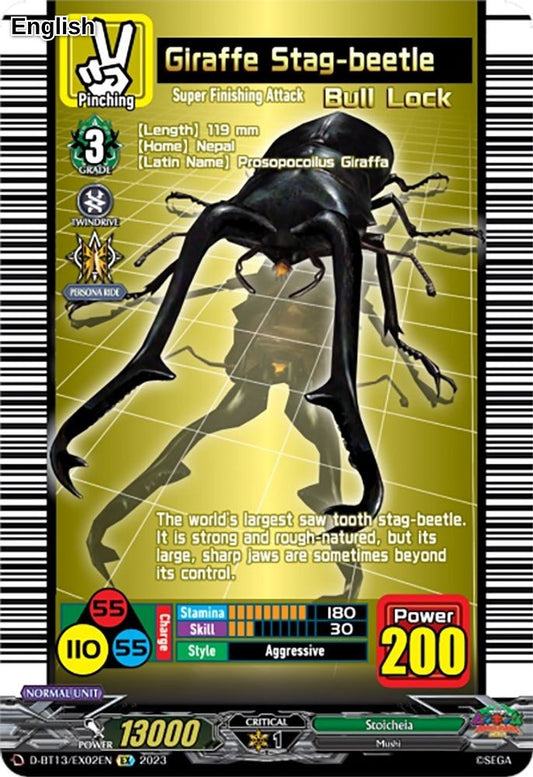 Giraffe Stag-beetle