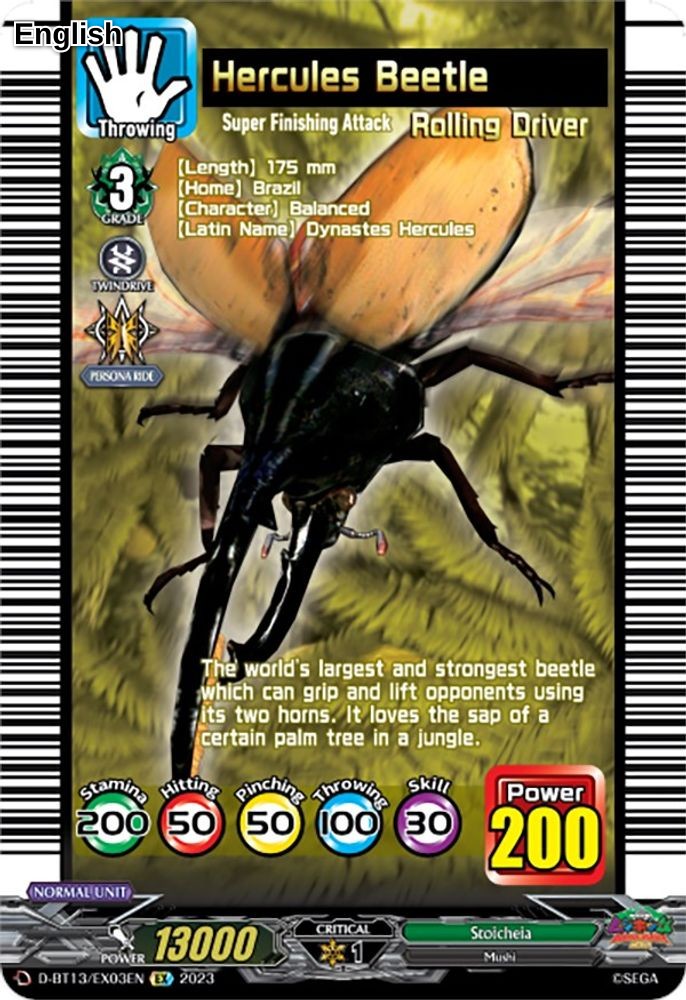 Hercules Beetle