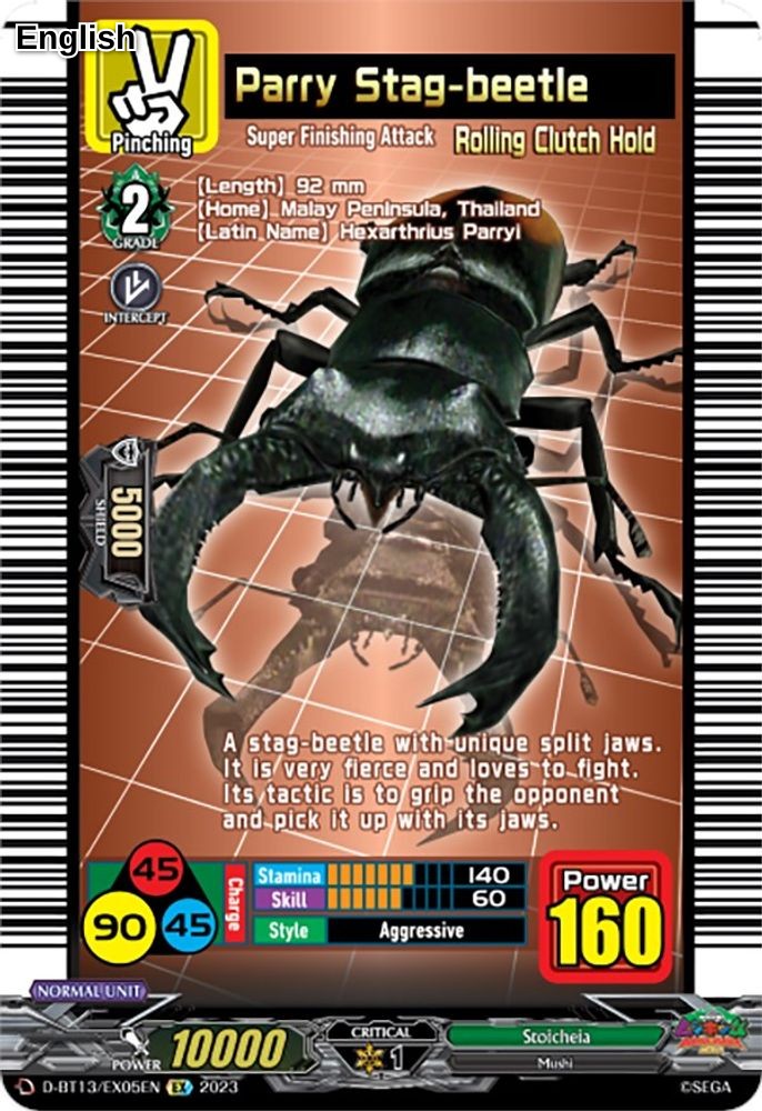 Parry Stag-beetle