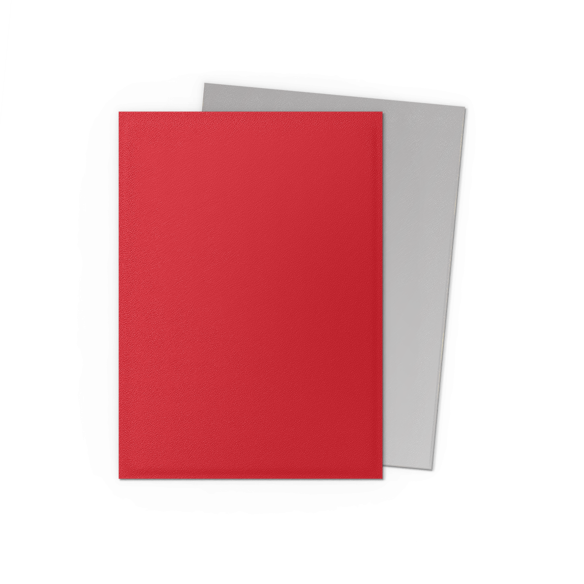 Dragon Shield: Standard 100ct Sleeves - Crimson & Silver (Dual Matte)