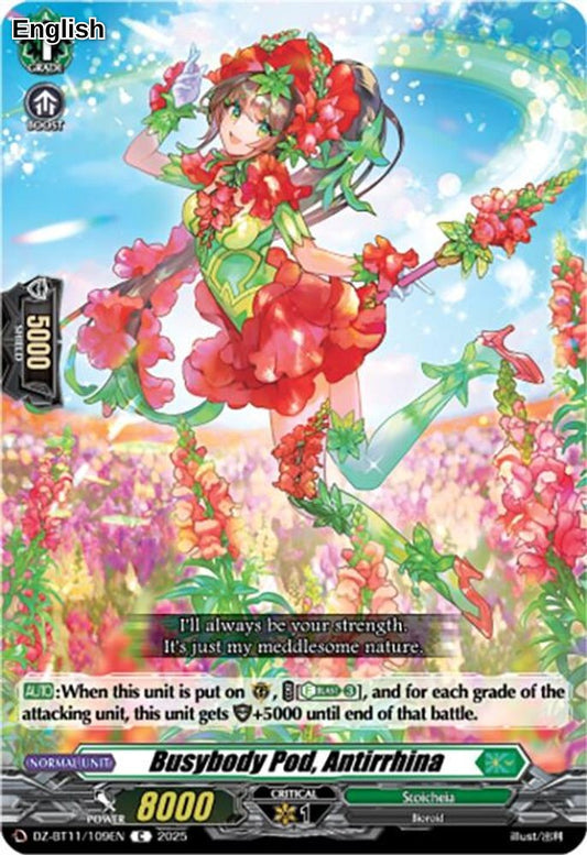 Busybody Pod, Antirrhina
